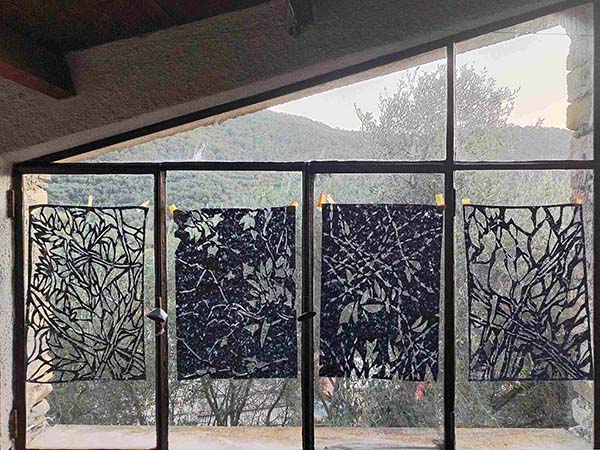Bild der Teilnehmerin Stephanie Hamacher‑Backhaus