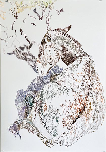 Bild der Teilnehmerin Sigrid Redhardt