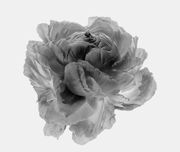 Bild der Teilnehmerin Nina E. Reiter