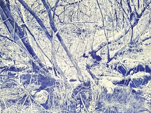 Bild der Teilnehmerin Tilch Hagemann