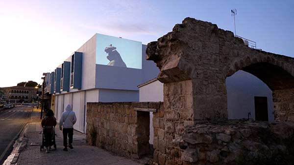 Bild der Teilnehmerin Michalis Nicoalides