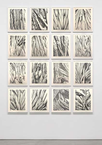 Bild der Teilnehmerin Salon J75